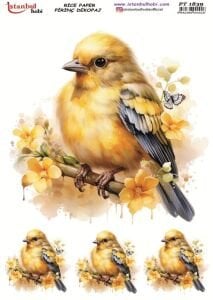 Pirinç Dekopaj Kağıdı 30x42cm PT-1839