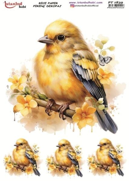 Pirinç Dekopaj Kağıdı 30x42cm PT-1839