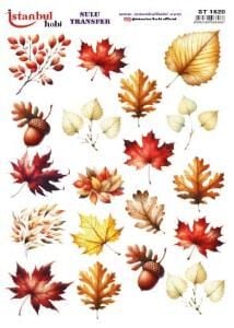 Sulu Transfer Kağıdı 25x35cm ST-1520