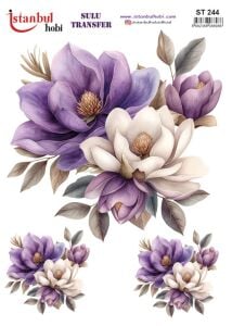 Sulu Transfer Kağıdı 25x35cm ST-244