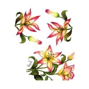 Cadence Gülsün Ülkü Kolay Transfer Kağıdı 17x25cm G40