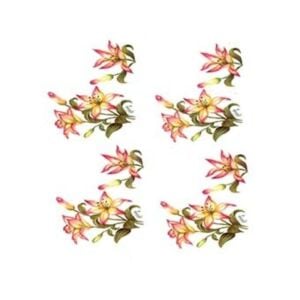 Cadence Gülsün Ülkü Kolay Transfer Kağıdı 17x25cm G46