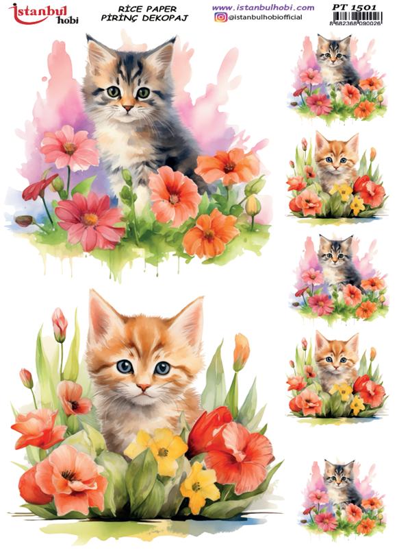 Pirinç Dekopaj Kağıdı 30x42cm PT-1501 Çiçek Kedi