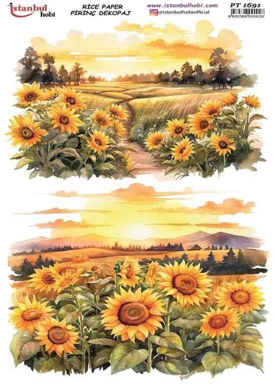 Pirinç Dekopaj Kağıdı 30x42cm PT-1691 Ayçiçeği Manzara