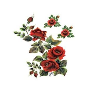 Cadence Gülsün Ülkü Kolay Transfer Kağıdı 17x25cm G93