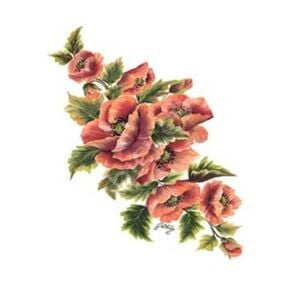 Cadence Gülsün Ülkü Kolay Transfer Kağıdı 17x25cm G94