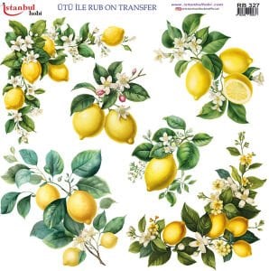 Ütü ile Rub On Transfer Kağıdı 30x30cm RB-327