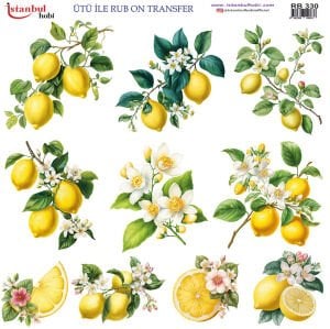 Ütü ile Rub On Transfer Kağıdı 30x30cm RB-330