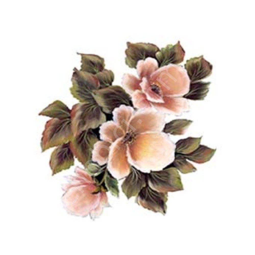 Cadence Gülsün Ülkü Kolay Transfer Kağıdı 17x25cm G164