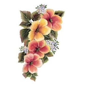 Cadence Gülsün Ülkü Kolay Transfer Kağıdı 17x25cm G165