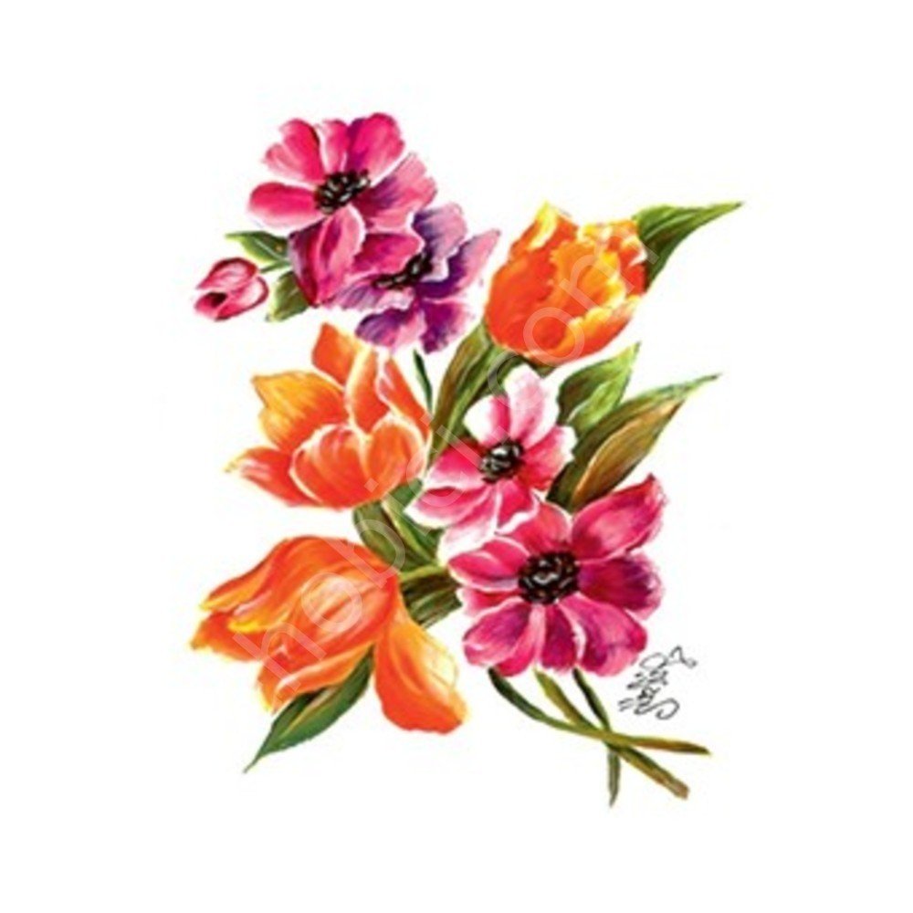 Cadence Gülsün Ülkü Kolay Transfer Kağıdı 25x35cm G60