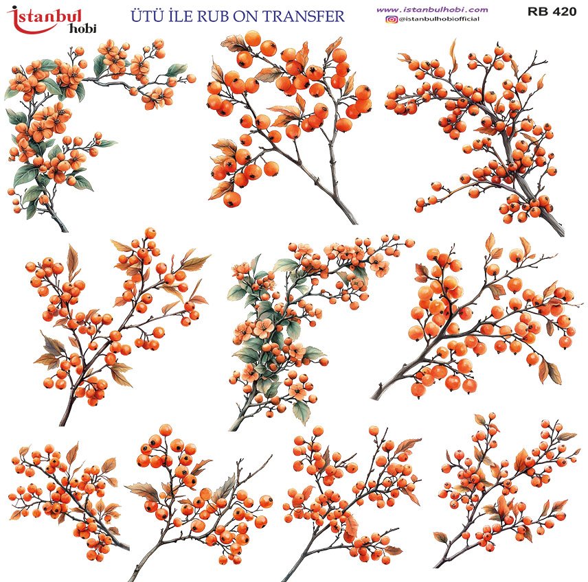 Ütü ile Rub On Transfer Kağıdı 30x30cm RB-420