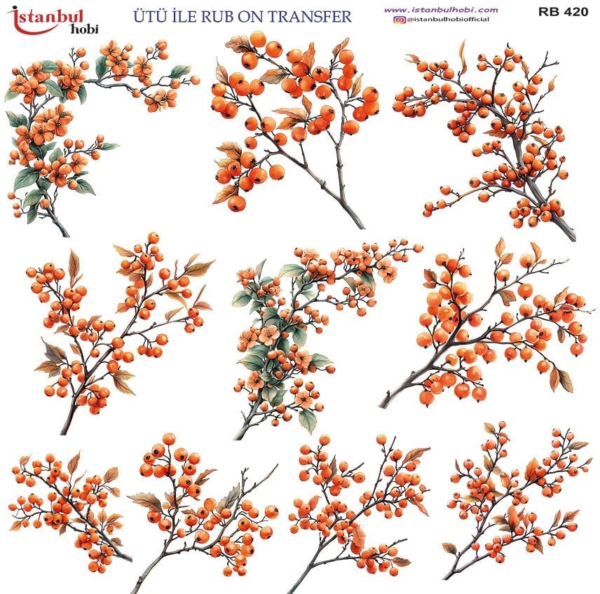 Ütü ile Rub On Transfer Kağıdı 30x30cm RB-420