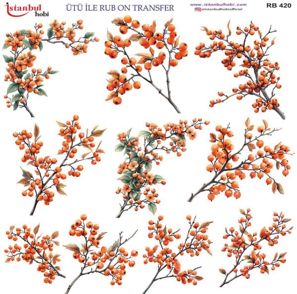Ütü ile Rub On Transfer Kağıdı 30x30cm RB-420