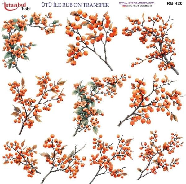 Ütü ile Rub On Transfer Kağıdı 30x30cm RB-420