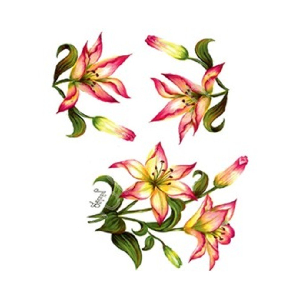 Cadence Gülsün Ülkü Kolay Transfer Kağıdı 25x35cm G62