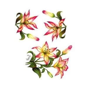 Cadence Gülsün Ülkü Kolay Transfer Kağıdı 25x35cm G62