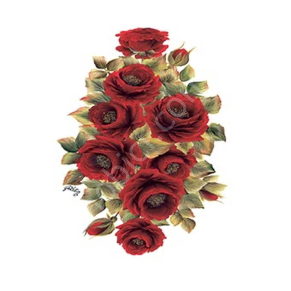 Cadence Gülsün Ülkü Kolay Transfer Kağıdı 25x35cm G64