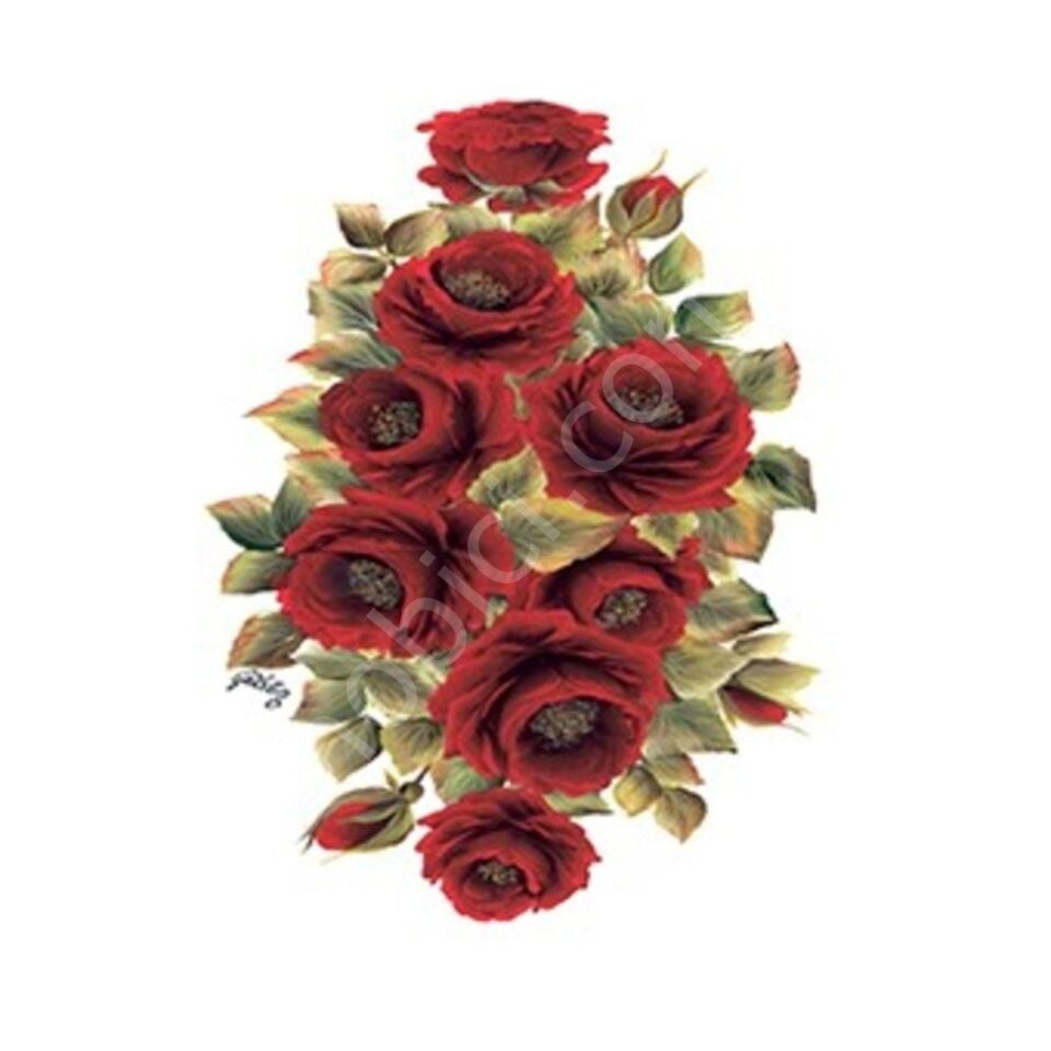 Cadence Gülsün Ülkü Kolay Transfer Kağıdı 25x35cm G64