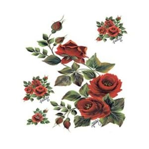 Cadence Gülsün Ülkü Kolay Transfer Kağıdı 25x35cm G67