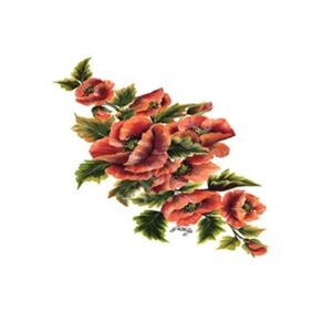 Cadence Gülsün Ülkü Kolay Transfer Kağıdı 25x35cm G68