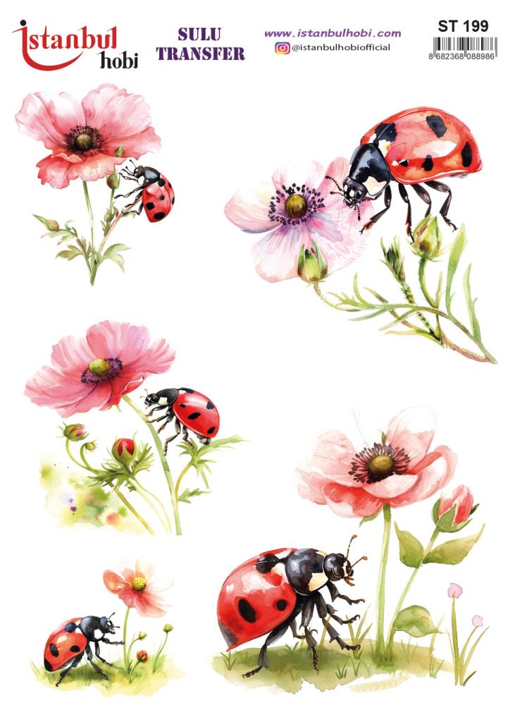 Sulu Transfer Kağıdı 25x35cm ST-199