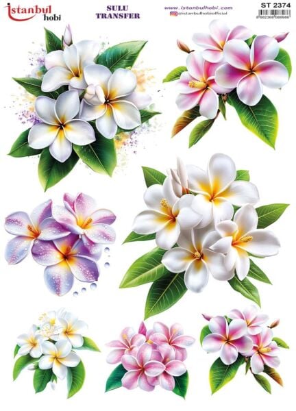 Sulu Transfer Kağıdı 25x35cm ST-2374