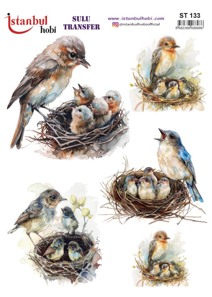 Sulu Transfer Kağıdı 25x35cm ST-133