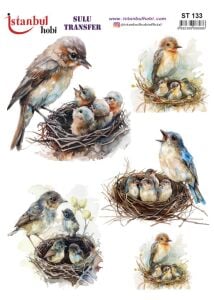 Sulu Transfer Kağıdı 25x35cm ST-133