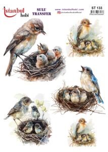 Sulu Transfer Kağıdı 25x35cm ST-133