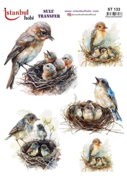 Sulu Transfer Kağıdı 25x35cm ST-133