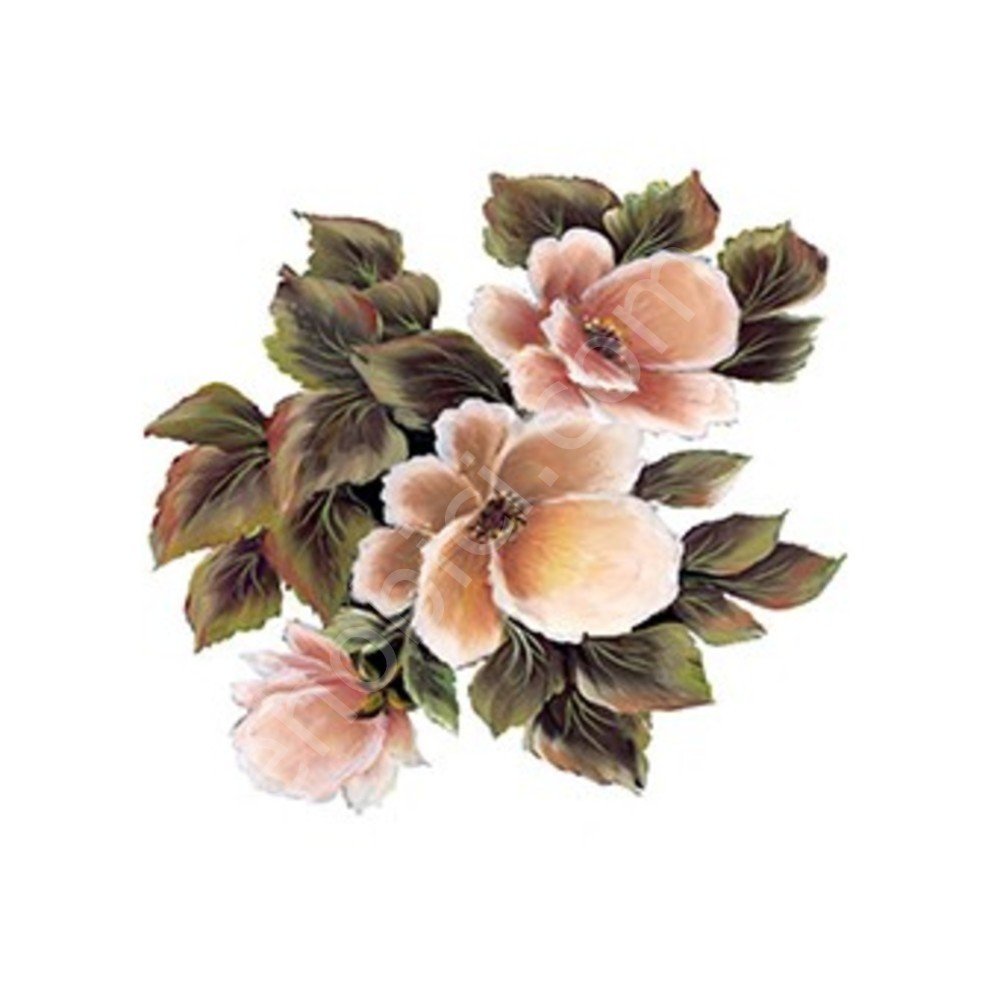 Cadence Gülsün Ülkü Kolay Transfer Kağıdı 25x35cm G80