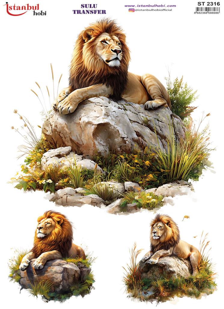 Sulu Transfer Kağıdı 25x35cm ST-2316