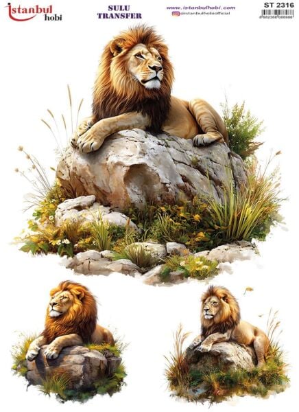 Sulu Transfer Kağıdı 25x35cm ST-2316