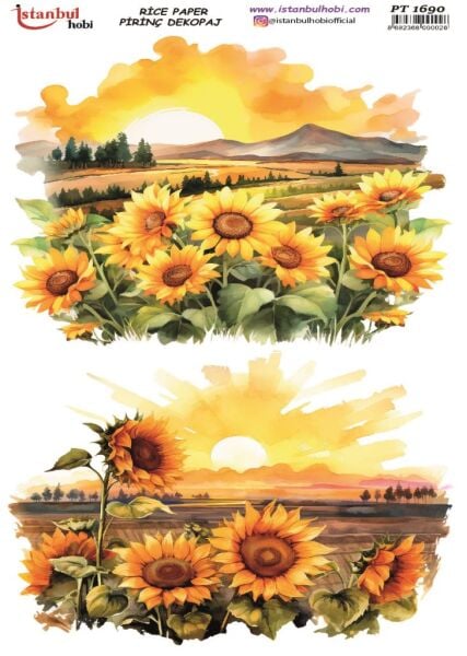 Pirinç Dekopaj Kağıdı 30x42cm PT-1690