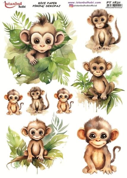 Pirinç Dekopaj Kağıdı 30x42cm PT-1831