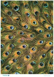 Diamond Pirinç Dekopaj Kağıdı - 666