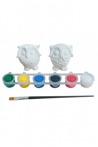 Ehobici Taş Boyama Seti Baykuşlar 6 Renk Akrilik Boya 5ml + Fırça