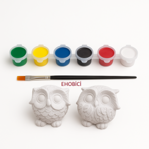 Ehobici Taş Boyama Seti Baykuşlar 6 Renk Akrilik Boya 5ml + Fırça