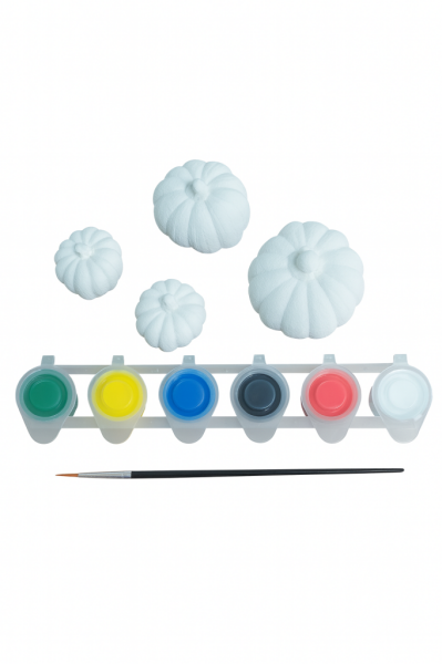 Ehobici Taş Boyama Seti Bal Kabağı 6 Renk Akrilik Boya 5ml + Fırça