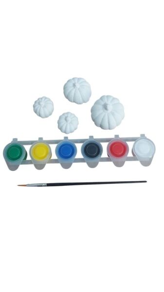 Ehobici Taş Boyama Seti Bal Kabağı 6 Renk Akrilik Boya 5ml + Fırça