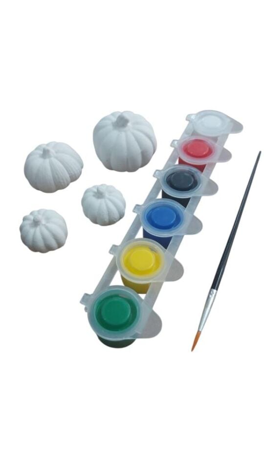 Ehobici Taş Boyama Seti Bal Kabağı 6 Renk Akrilik Boya 5ml + Fırça