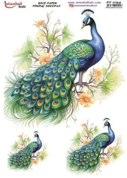 Pirinç Dekopaj Kağıdı 30x42cm PT-1794