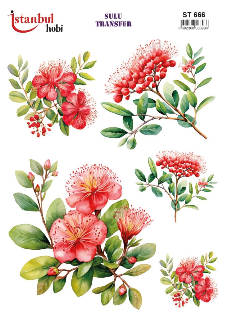 Sulu Transfer Kağıdı 25x35cm ST-666