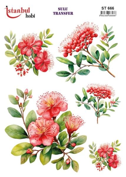 Sulu Transfer Kağıdı 25x35cm ST-666