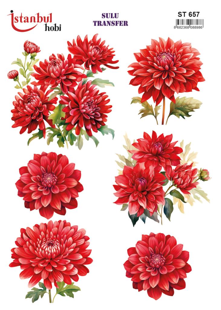 Sulu Transfer Kağıdı 25x35cm ST-657