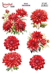 Sulu Transfer Kağıdı 25x35cm ST-657