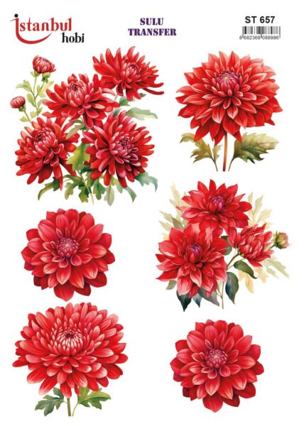 Sulu Transfer Kağıdı 25x35cm ST-657