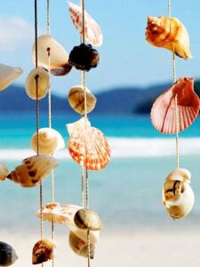 Dekoratif Deniz Kabukları