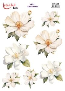 Sulu Transfer Kağıdı 25x35cm ST-582